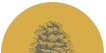 Acorn_Yellow_Top