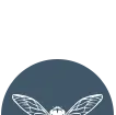 Bee_Blue_Top