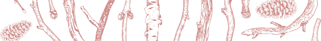 pink_bar_pattern_edge_dt